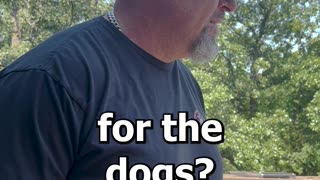 For The Dog