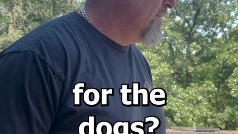 For The Dog