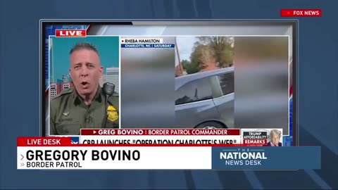 Illegal Alien Crackdown