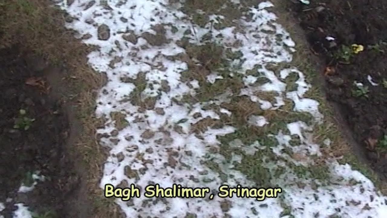 01-Bagh Shalimar- Srinagar