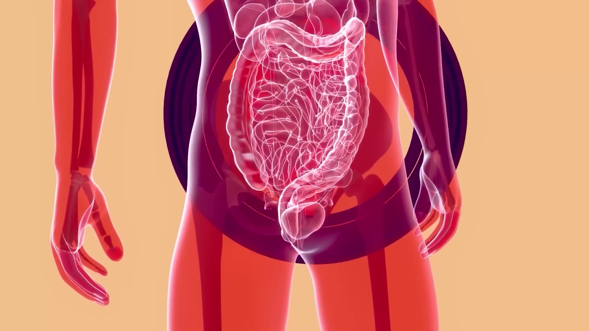 Barbara O'Neill's SHOCKING Gut Health Secrets You're Ignoring! The Truth They're Hiding From You!