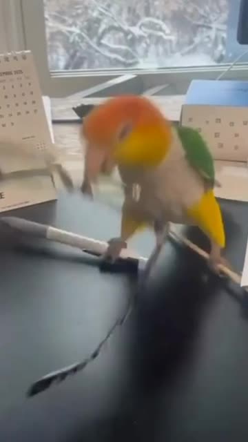 It’s only Monday and work is sending me in a rage