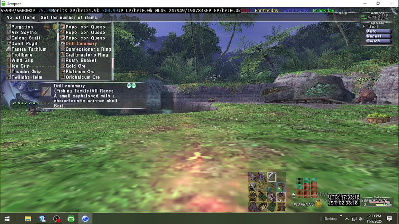 Playing Final Fantasy XI Online
