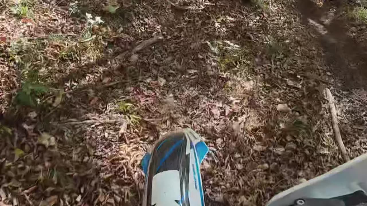 Woods racing and creek crossing