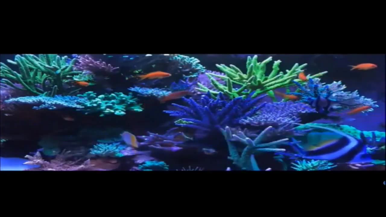 Years Of Plenty 2025