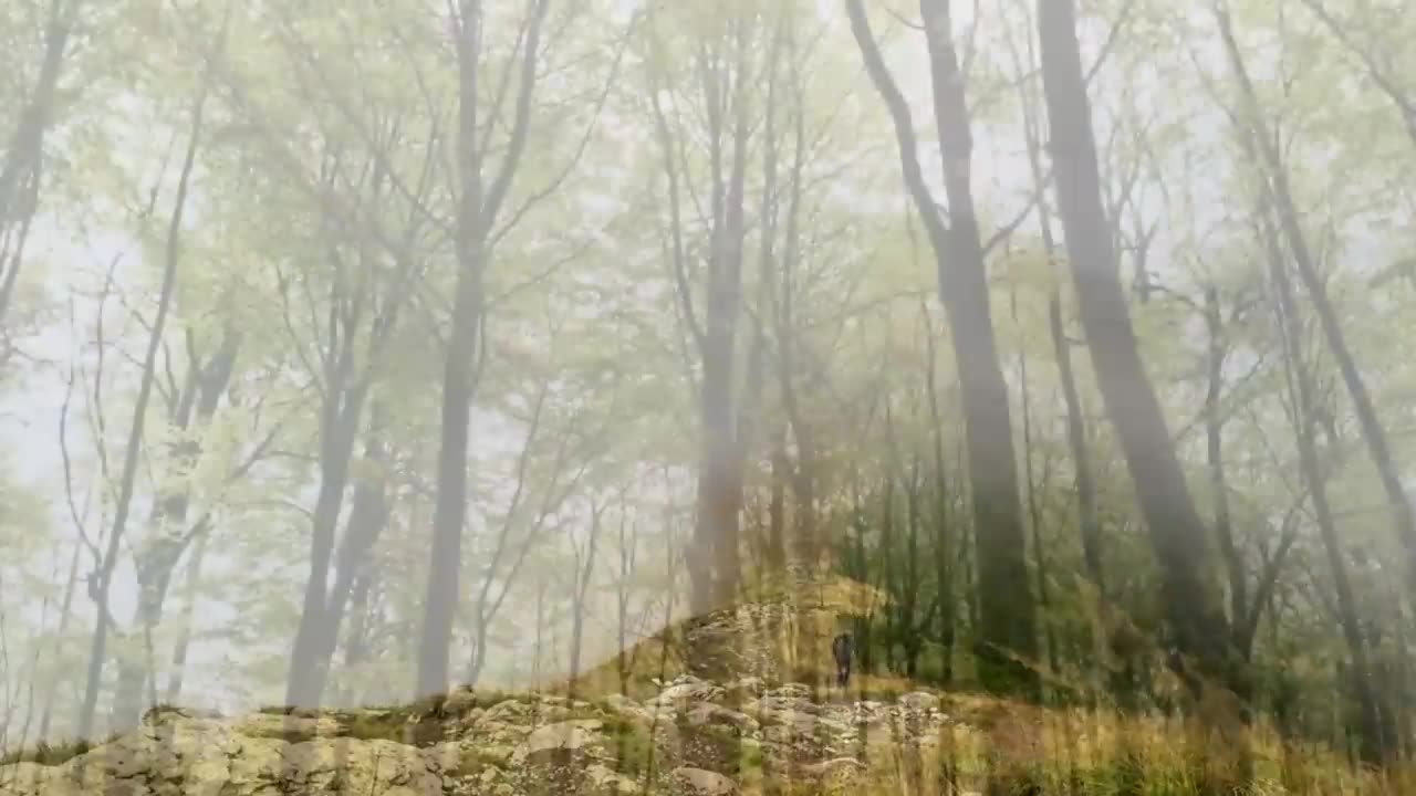 <> How to Find the Truth <>