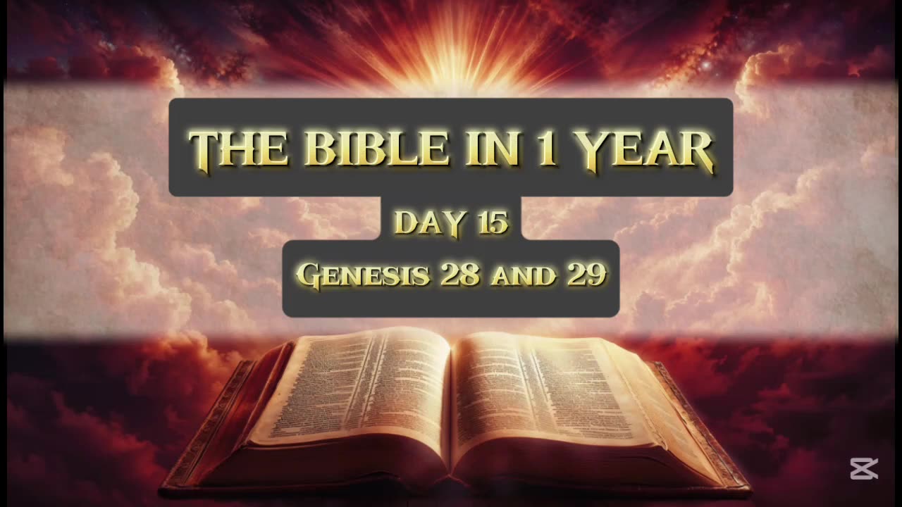 Day 15 of 365 (THE WHOLE BIBLE)