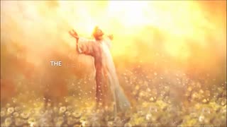 100 Proofs the lsraeIites were White - Shorts 1-100