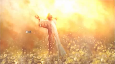 100 Proofs the lsraeIites were White - Shorts 1-100