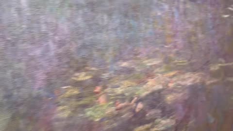 MoMA: Monet’s Water Lilies