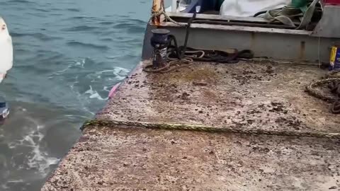 Would you like to do such a job_ Anchor the ship #ship #anchor #ocean