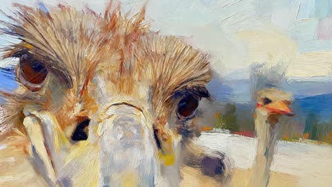 Run Kickaroo: The Ostrich Crisis - New NFT Rock Song Release!