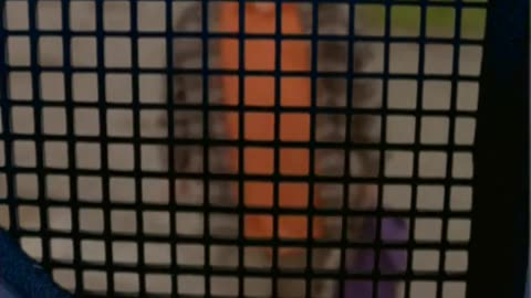 Goosebumps S02E02 Attack of the Mutant Part 1