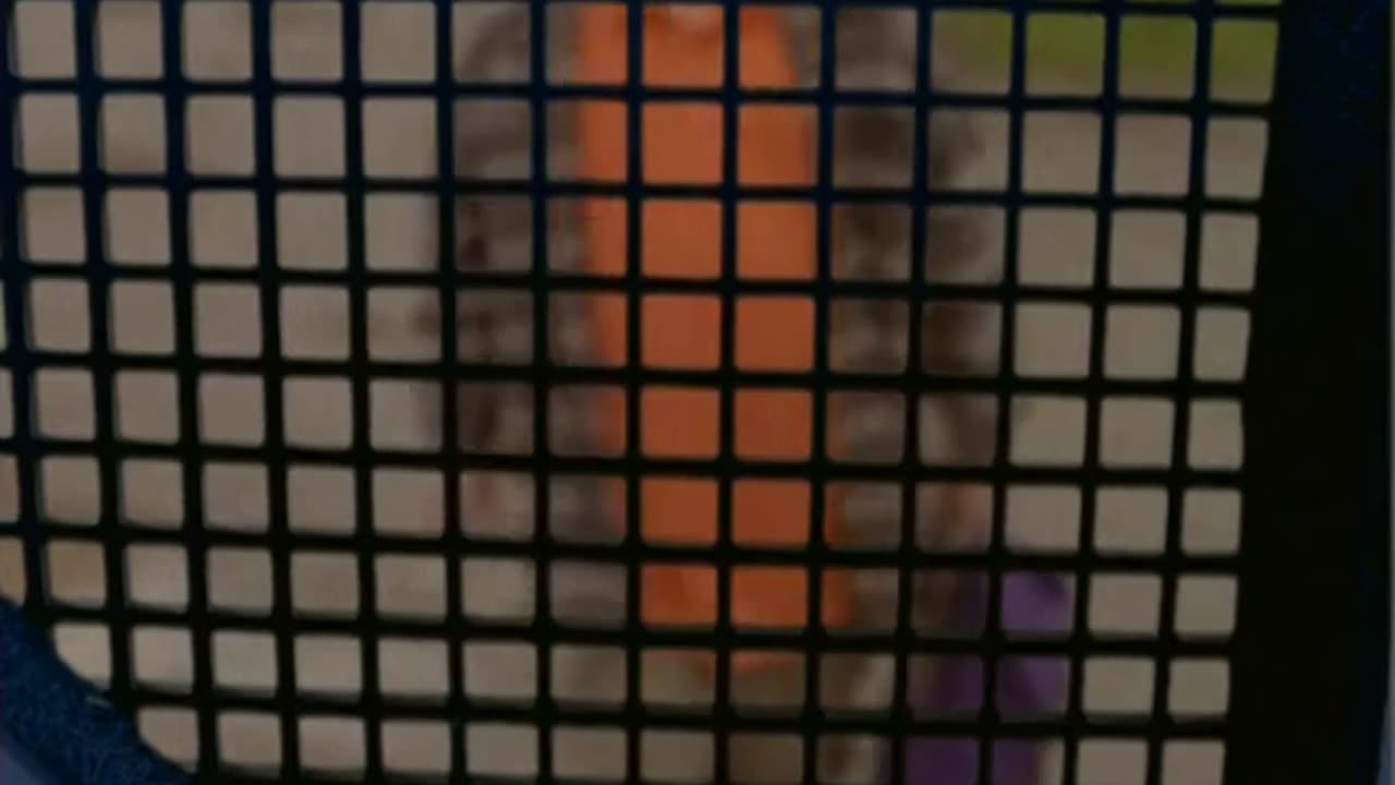 Goosebumps S02E02 Attack of the Mutant Part 1