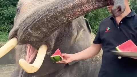 ✨🔥 This Hack Will Change Your Life Forever! Don't Miss Out! | LifeHacksDaily