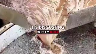 Joe Rogan on seed oils: "It's industrial lubricant. Just use olive oil"