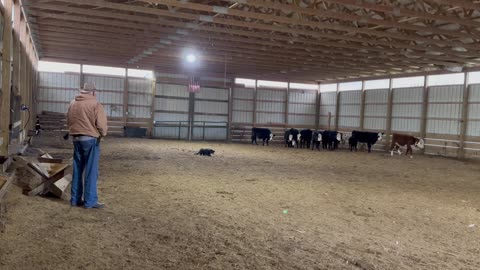 Wendy-Sue, 1/6/2026-1