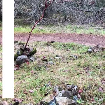 You Possess | Path and Tarot Reading