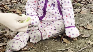 Baby Kayla Feeding Lettuce to the Bunnies | Gentle Animal Moment