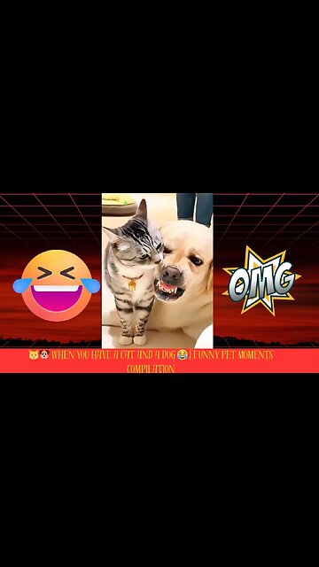 🐱🐶 When You Have a Cat and a Dog 😂 | Funny Pet Moments Compilation