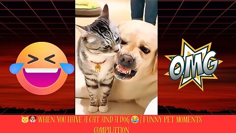 🐱🐶 When You Have a Cat and a Dog 😂 | Funny Pet Moments Compilation
