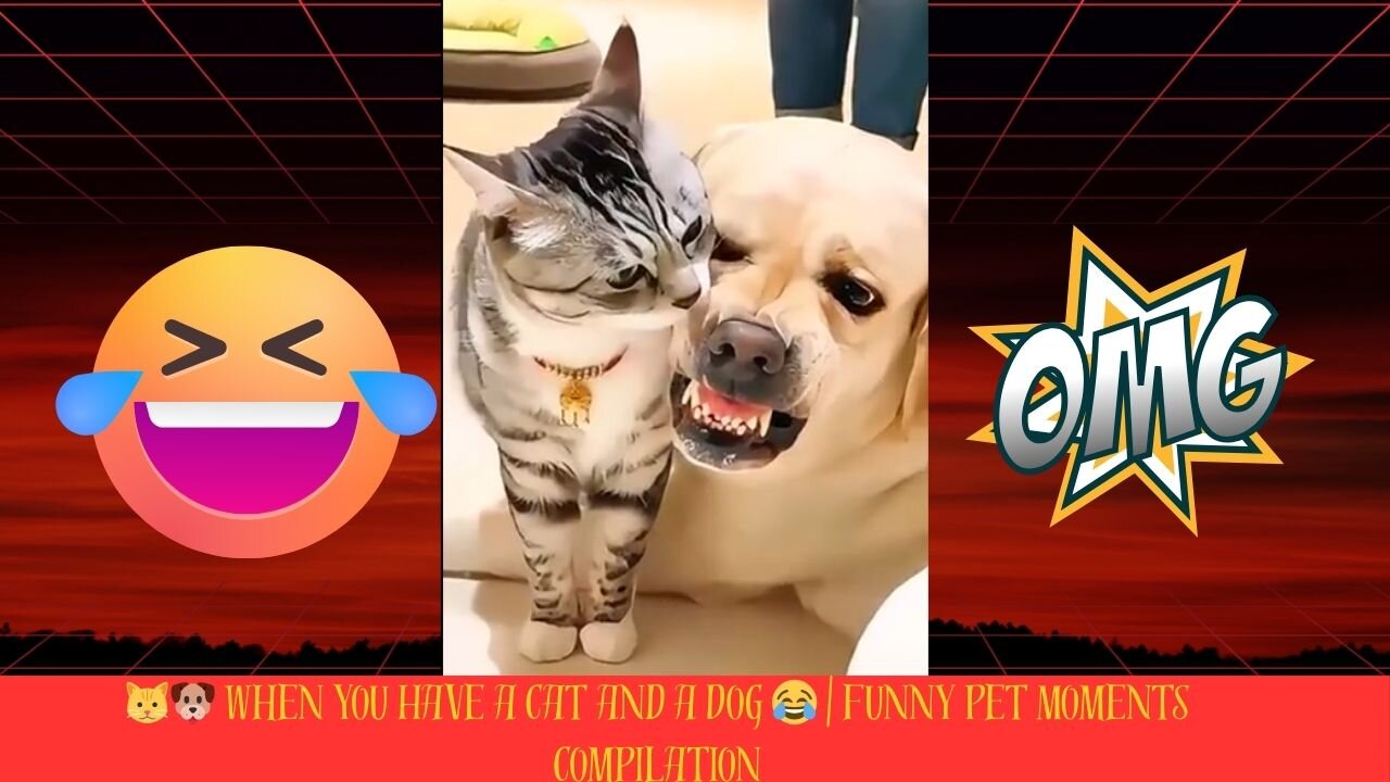 🐱🐶 When You Have a Cat and a Dog 😂 | Funny Pet Moments Compilation