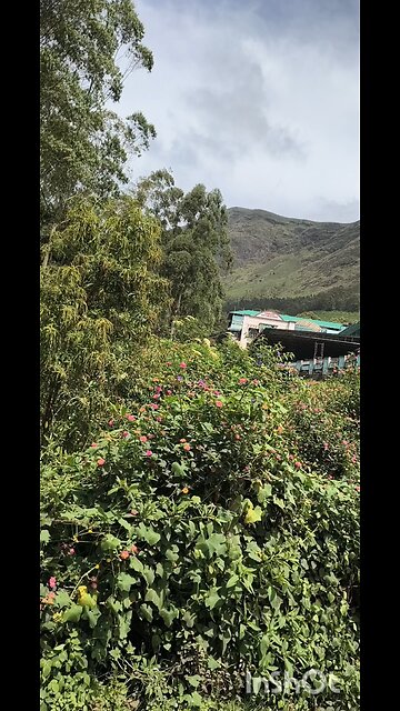 SETTLEMENTS ALONG THE ROAD #truth #jesus #mary #joseph #ihs #christ #church #bible #christian #saint