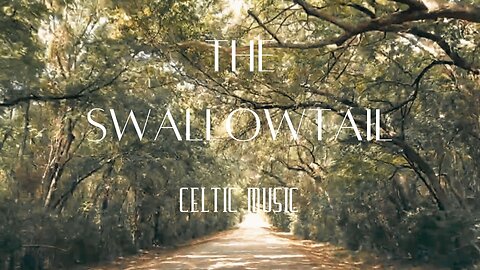 Instrumental Celtic Flute and Guitar Music - "The Swallowtail"