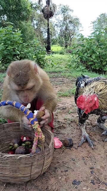 Good Job Best SokYaa, OG, Pao & Mom Are Famous Around The World #shorts #anime #trend #edit