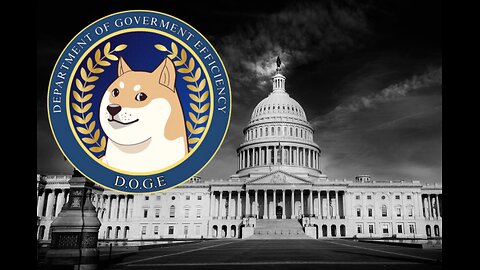 DOGE Overview Part 1 with reactions - US Department of Government Efficiency