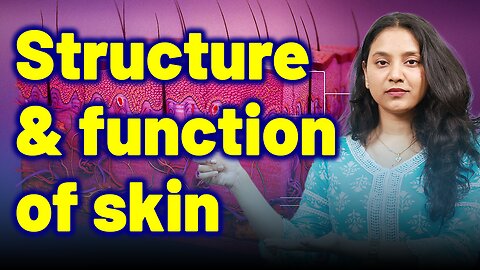 Structure and function of skin in Acne, Pimple, BlackHeads .| Treatment Cure Relief Medicine|