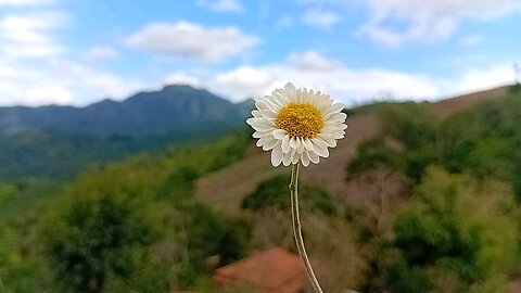 kapuru