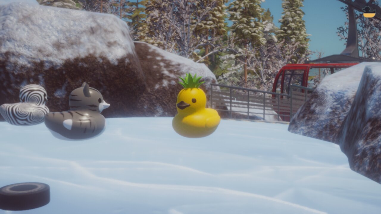 duck duck steam splash