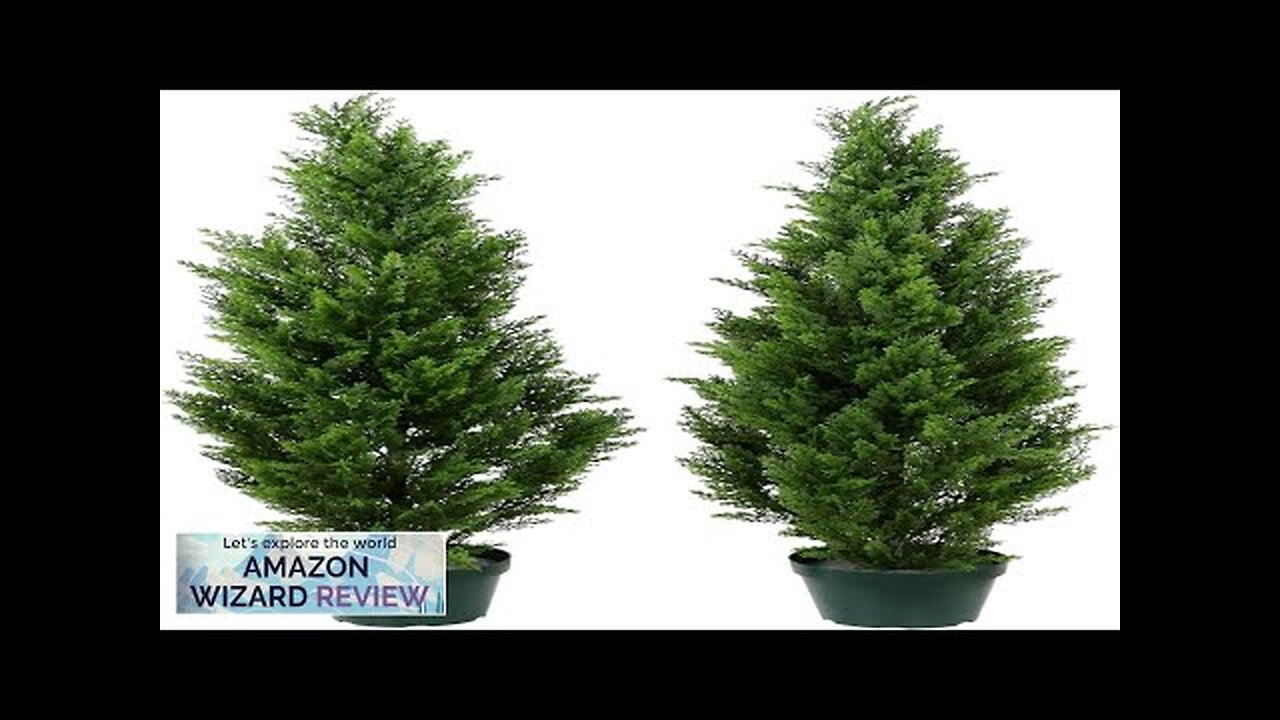 Pre-Potted 5' Artificial Cedar Topiary Outdoor Indoor Tree (Pack of 2) Review