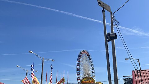 Florida Strawberry festival