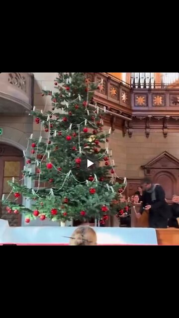 Wow! Such an impressive way of lighting these candles on a Christmas tree...