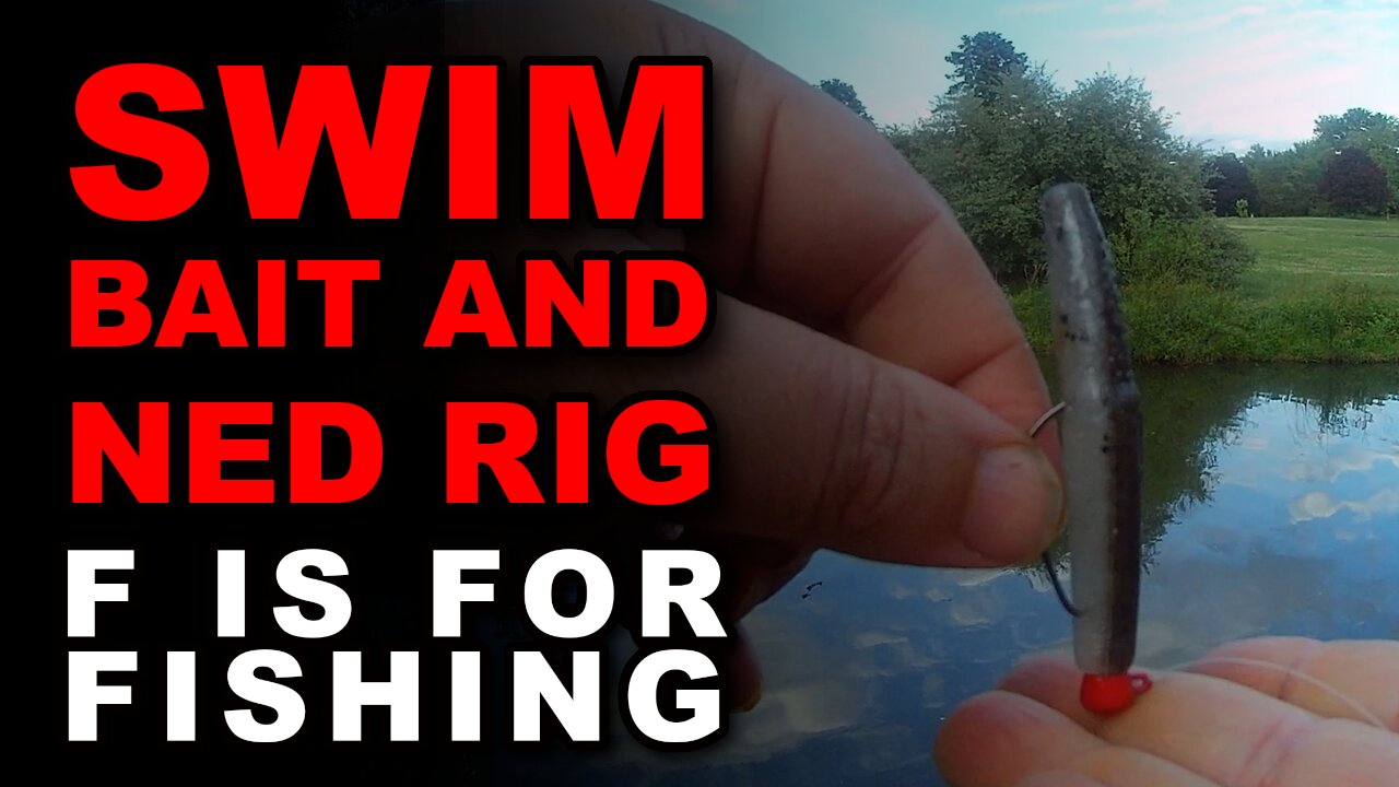 Swimbait and Ned Rig