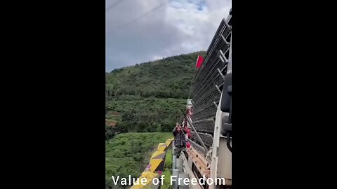 Value of freedom