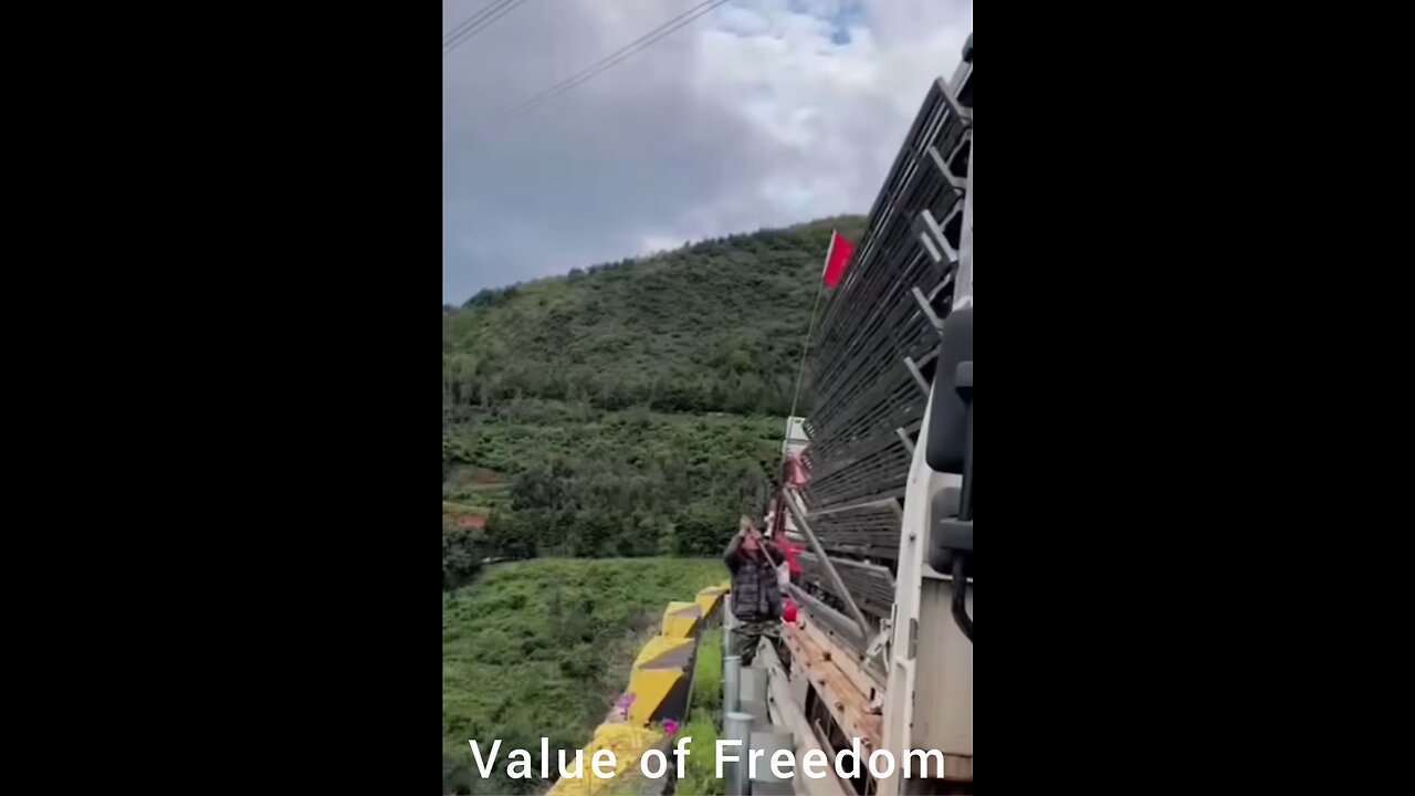 Value of freedom