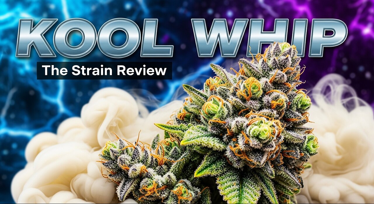 Kool Whip from Shop Hello Mary