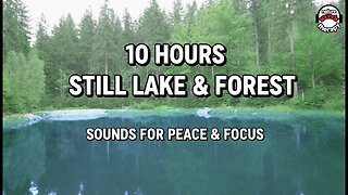 10H Zen Meditation: Still Lake, Cuckoo Call & Forest Sounds for Mindfulness