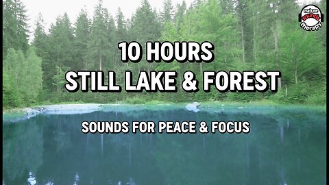10H Zen Meditation: Still Lake, Cuckoo Call & Forest Sounds for Mindfulness
