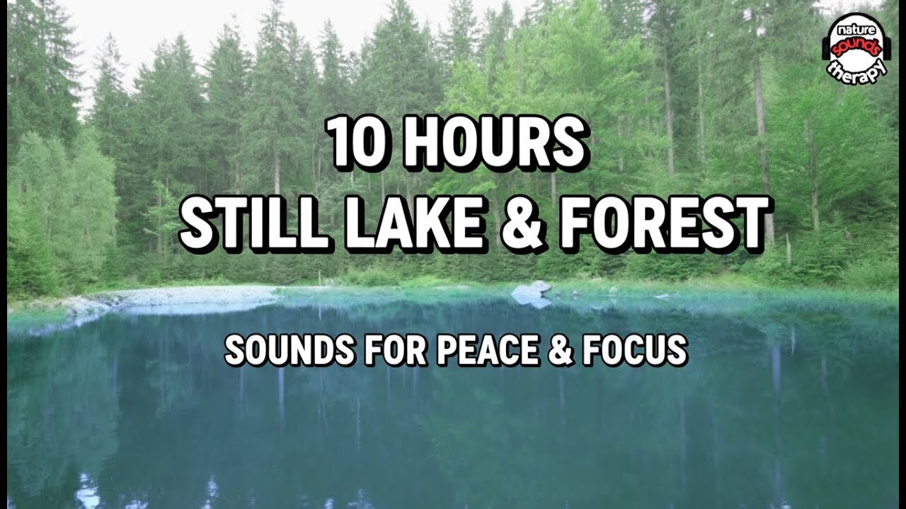 10H Zen Meditation: Still Lake, Cuckoo Call & Forest Sounds for Mindfulness