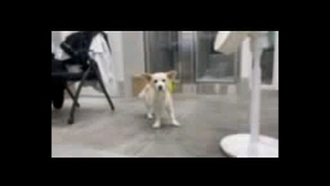 20251217. I believe God.