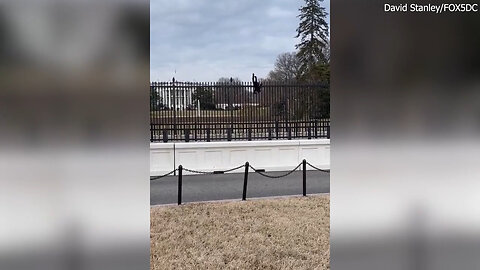 Secret Service Nabs White House Fence Climber