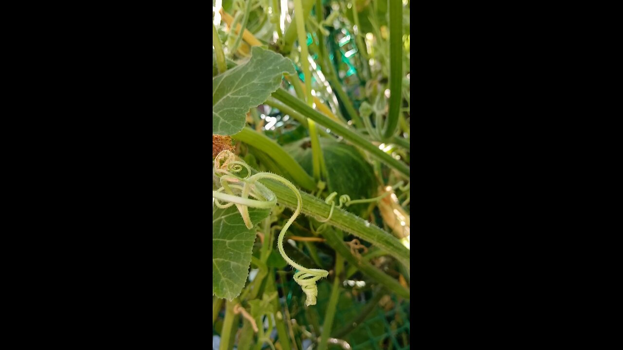 শীতের আগে শীতের অনুভূতি❤️