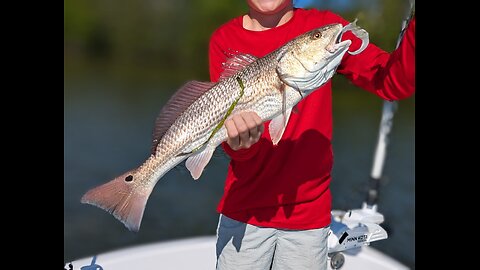 Florida West Coast Fishing Report