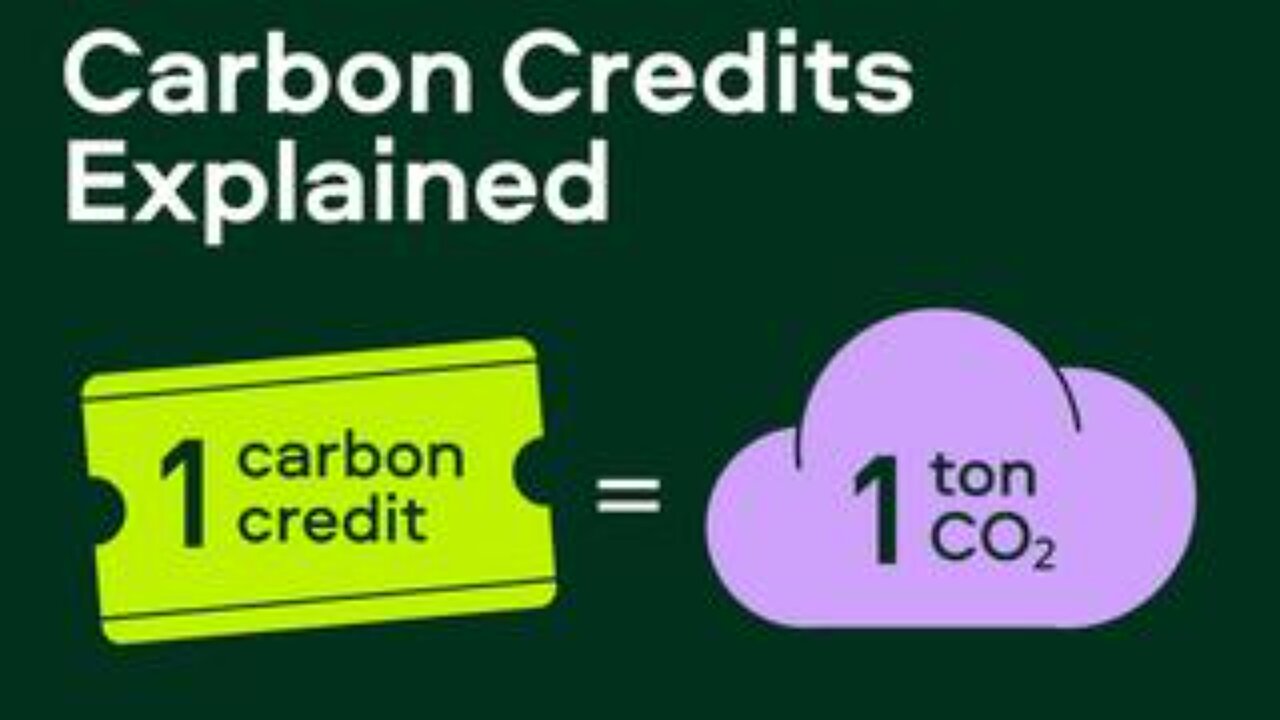 The UK Has Completed a Carbon Credit Trial for Daily Amounts