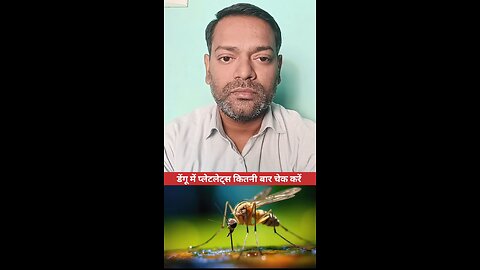 डेंगू में प्लेटलेट्स चेक ।