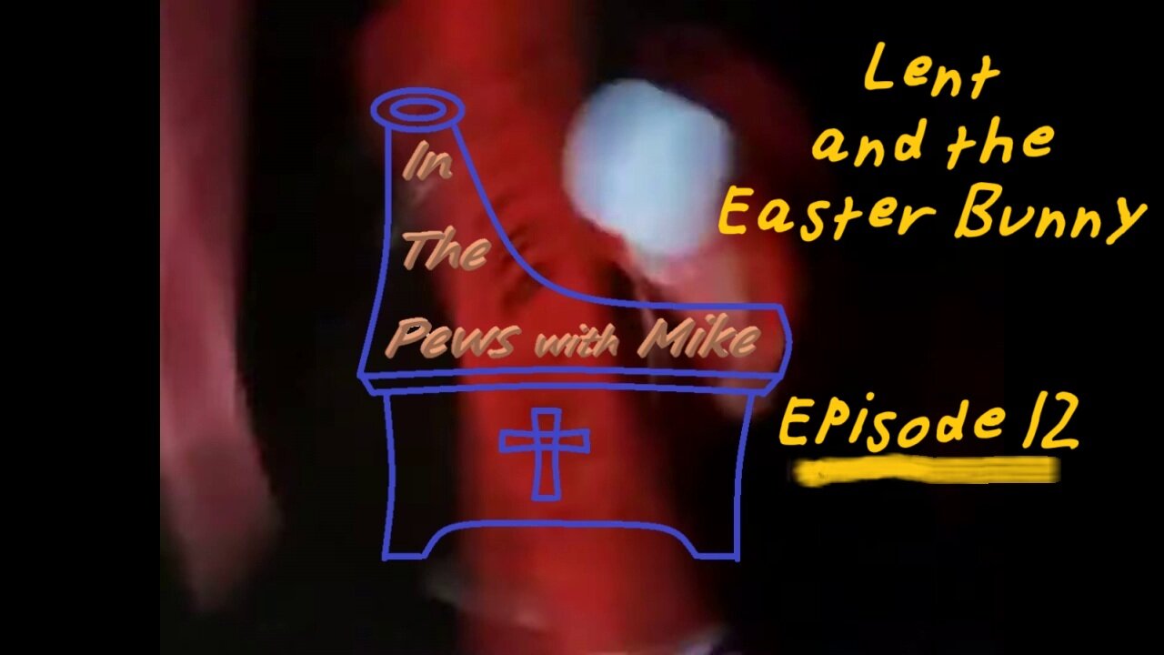 Why do we really have a Rabbit that lays eggs - Episode 12